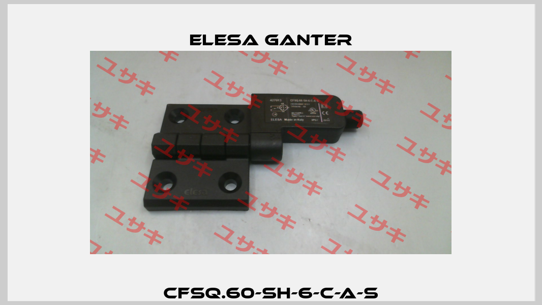 CFSQ.60-SH-6-C-A-S Elesa Ganter