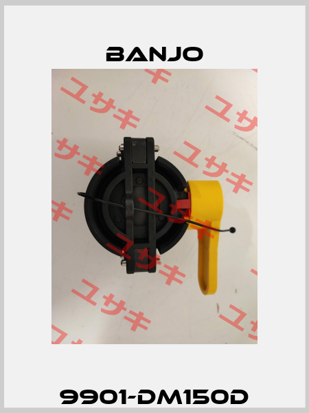 9901-DM150D Banjo