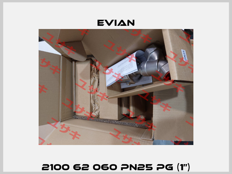 2100 62 060 PN25 PG (1”) Evian