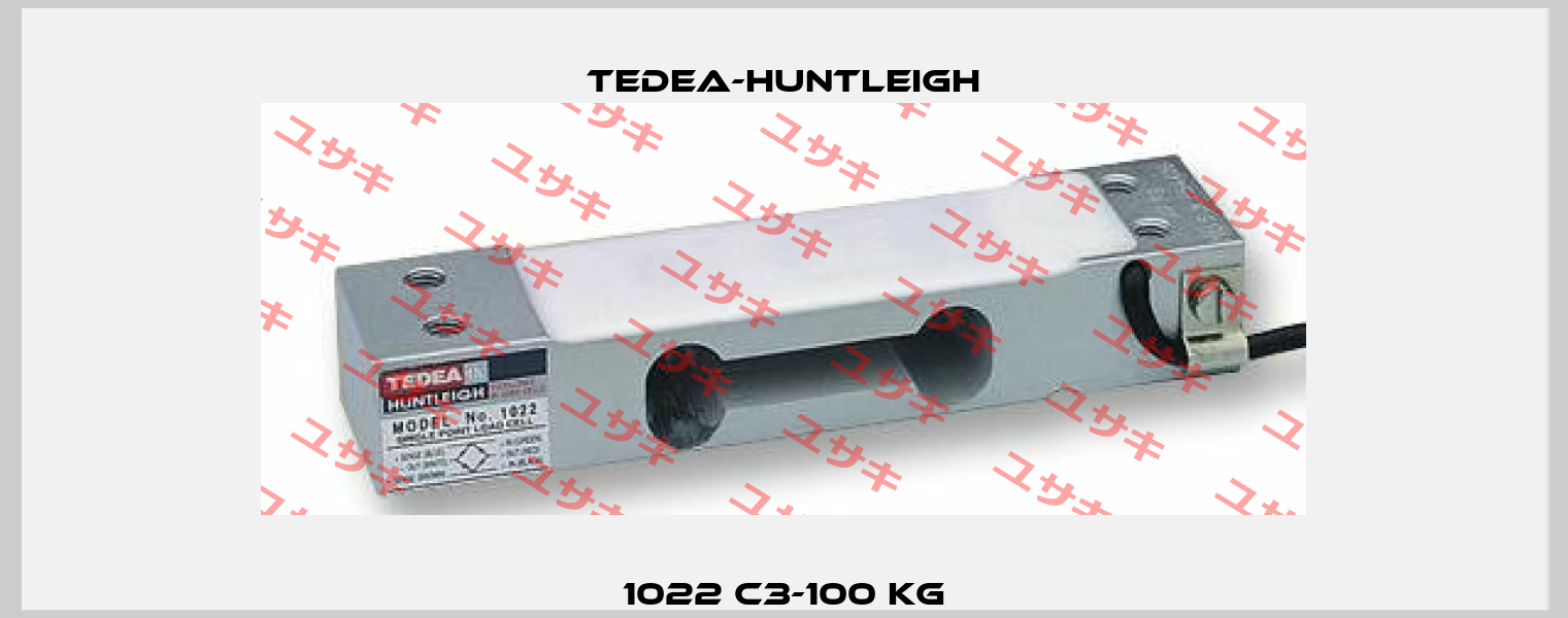 1022 C3-100 kg Tedea-Huntleigh