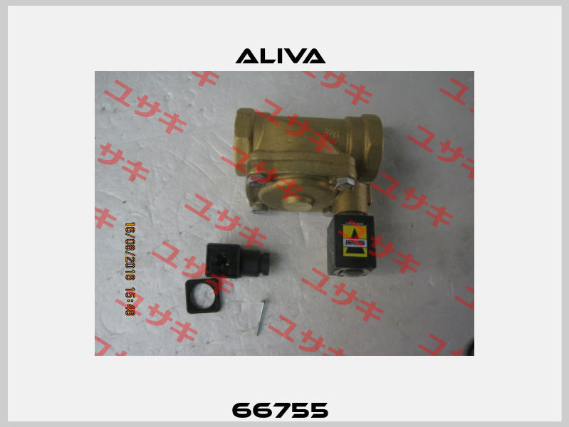 66755  Aliva 