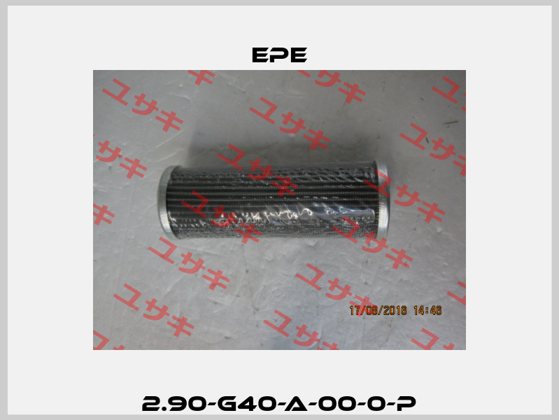 2.90-G40-A-00-0-P Epe