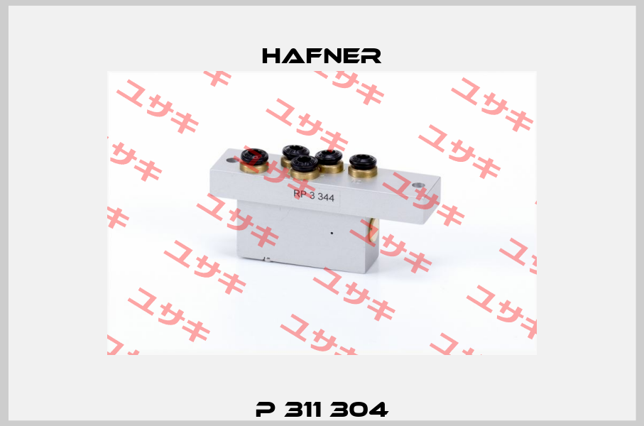 P 311 304 Hafner