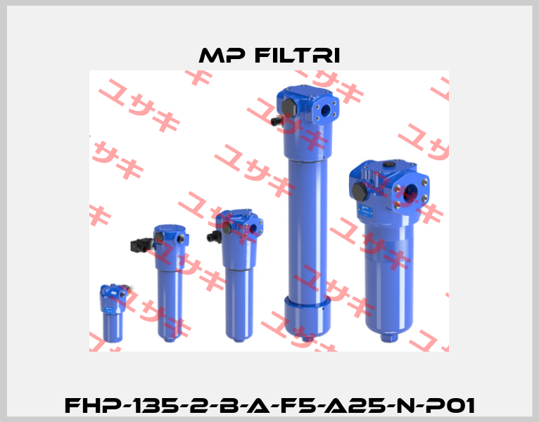 FHP-135-2-B-A-F5-A25-N-P01 MP Filtri