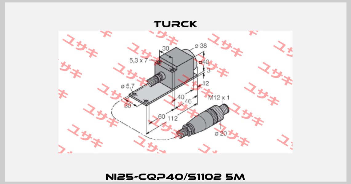 NI25-CQP40/S1102 5M Turck
