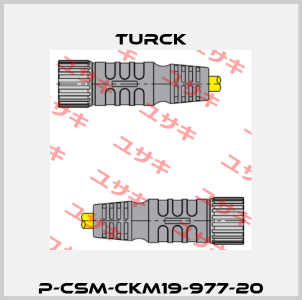 P-CSM-CKM19-977-20 Turck