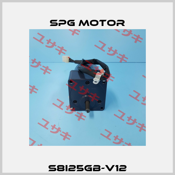 S8I25GB-V12 Spg Motor