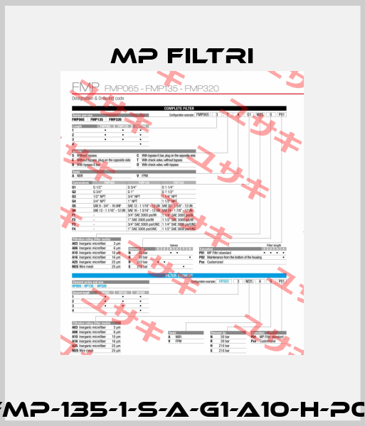 FMP-135-1-S-A-G1-A10-H-P01 MP Filtri