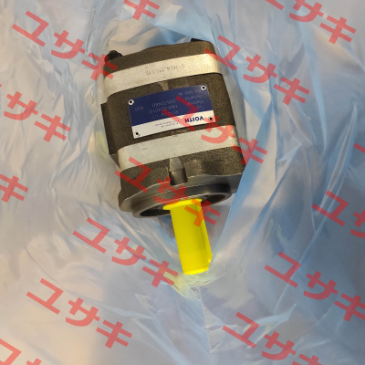 IPV 4/-16/ 171 Voith