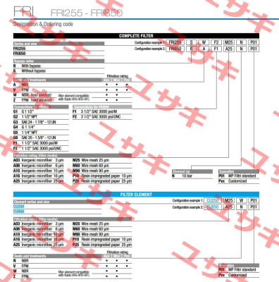 FRI-850-B-A-F1-A03-N-P01 MP Filtri