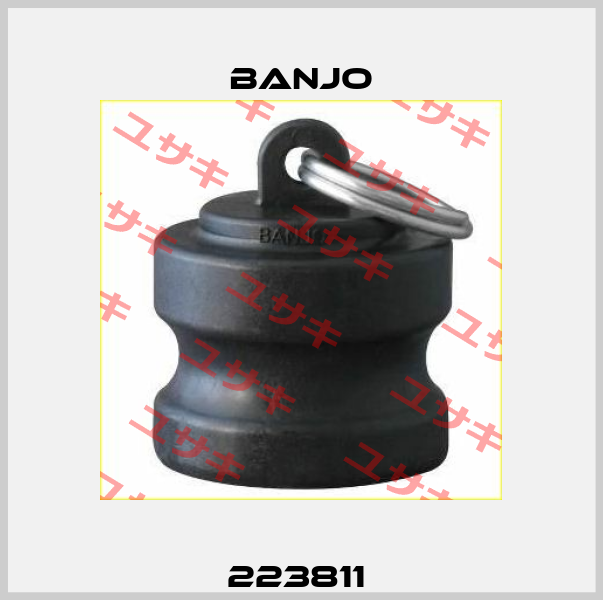 223811  Banjo