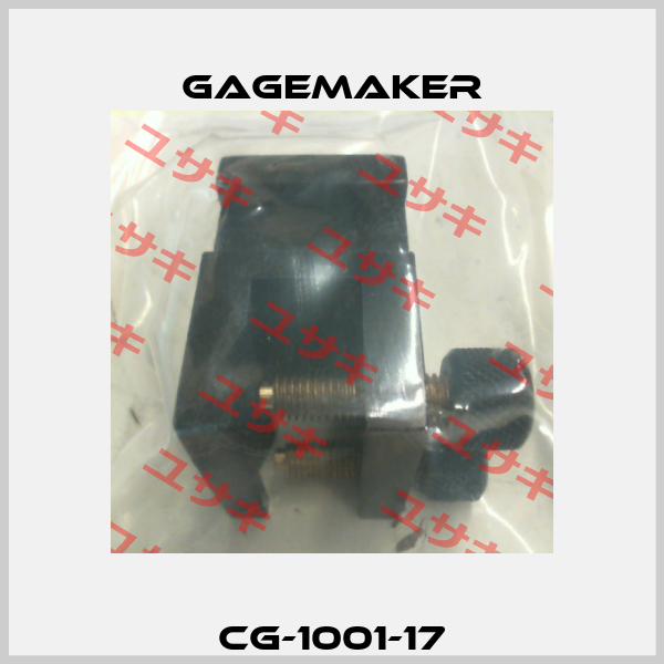 CG-1001-17 Gagemaker