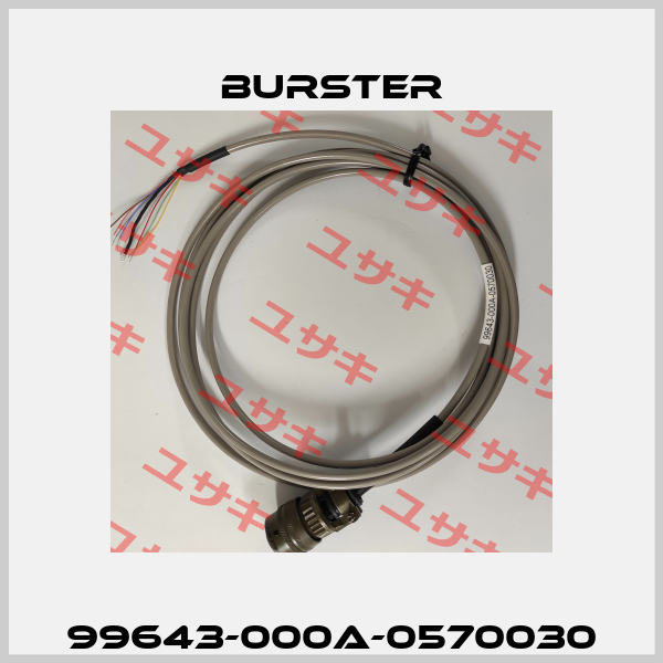 99643-000A-0570030 Burster