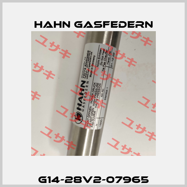 G14-28V2-07965 Hahn Gasfedern