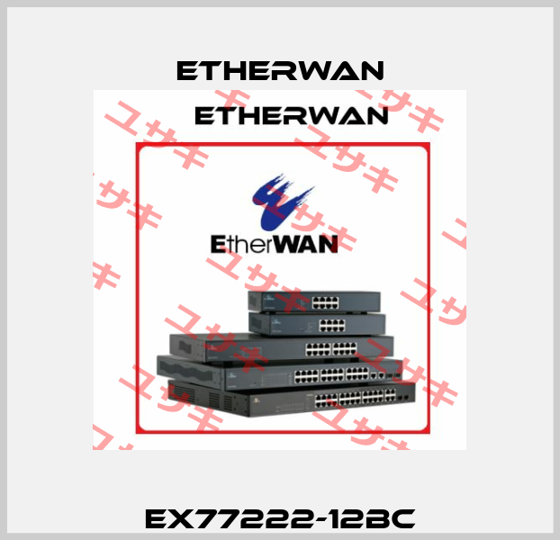 EX77222-12BC Etherwan
