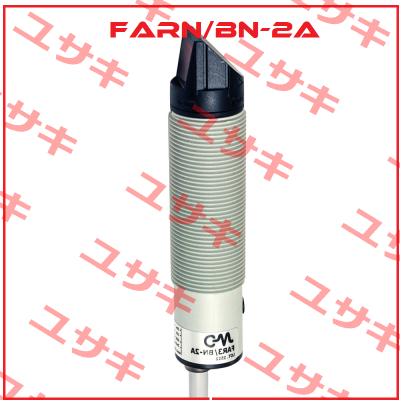 FARN/BN-2A Micro Detectors / Diell (now Datasensing)