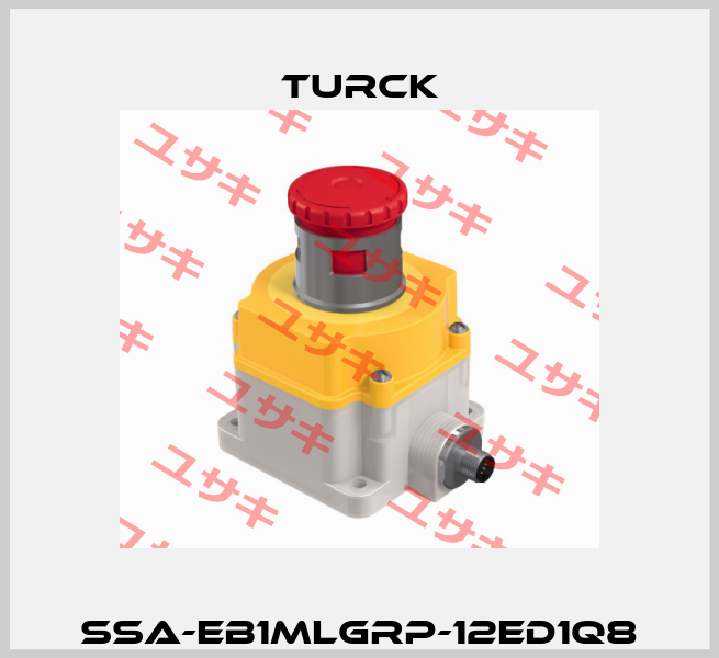 SSA-EB1MLGRP-12ED1Q8 Turck