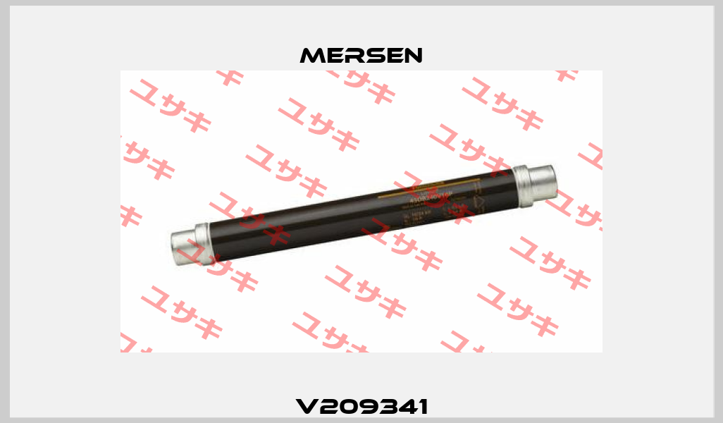 V209341 Mersen