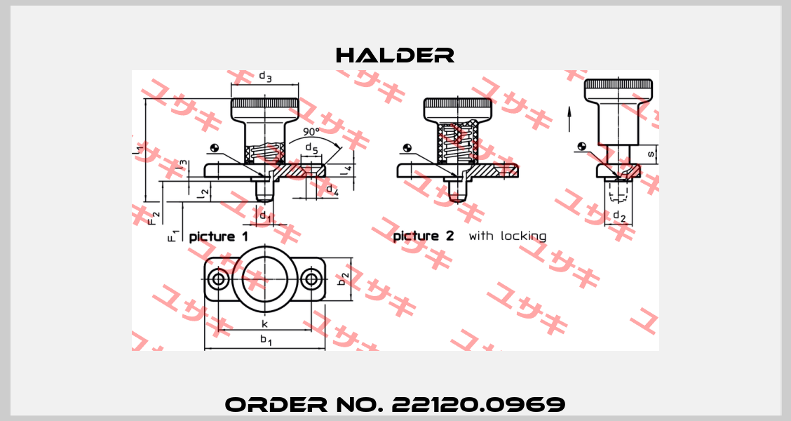 Order No. 22120.0969 Halder