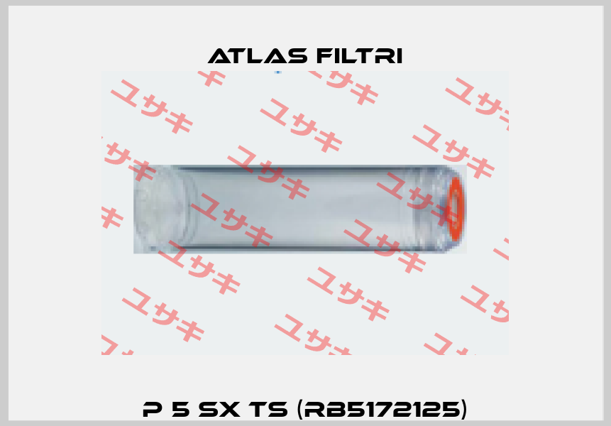 P 5 SX TS (RB5172125) Atlas Filtri