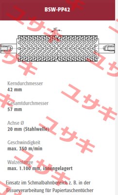 BSW-PP42-232176 old code / new code BSW-PP42-232176/1 Mink Bürsten