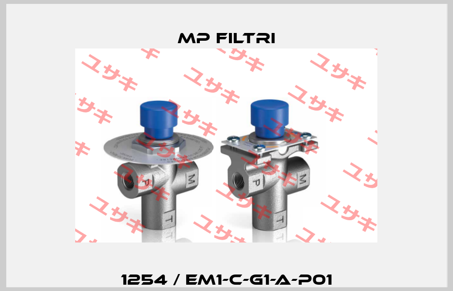 1254 / EM1-C-G1-A-P01 MP Filtri