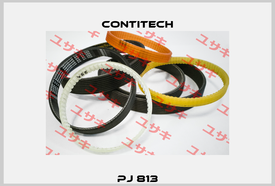 PJ 813 Contitech
