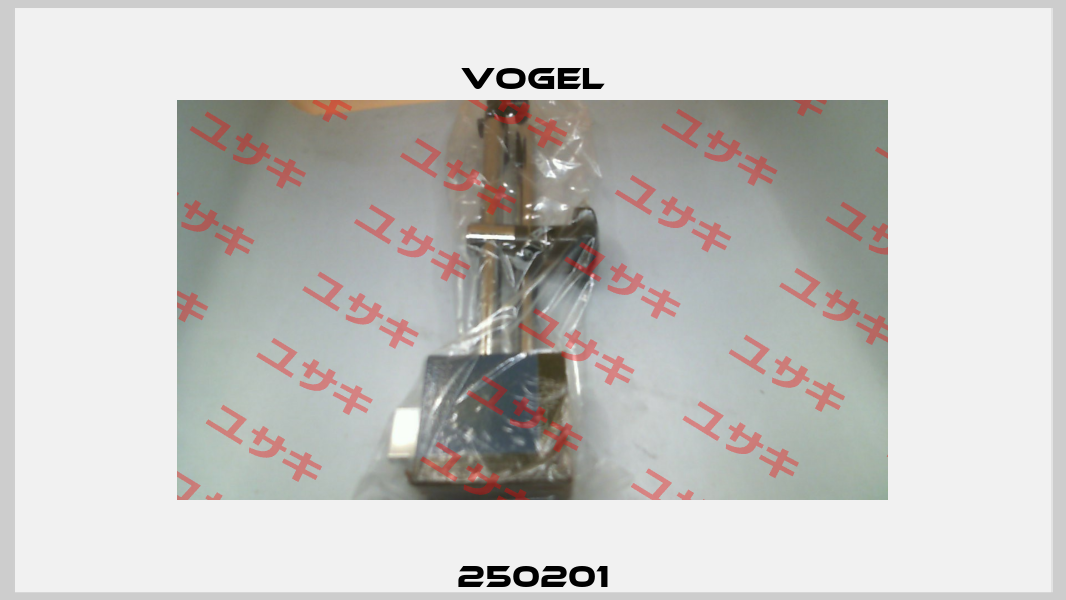 250201 Vogel