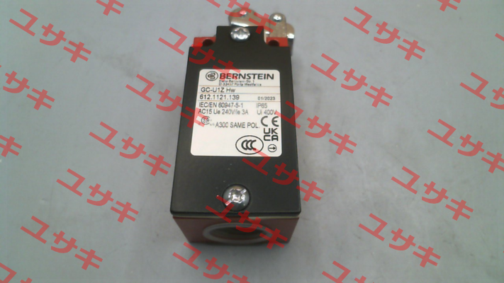 6121121139 / GC-U1Z HW Bernstein