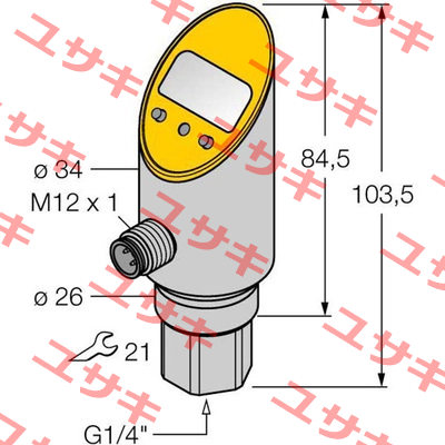 PS025V-301-LUUPN8X-H1141 Turck