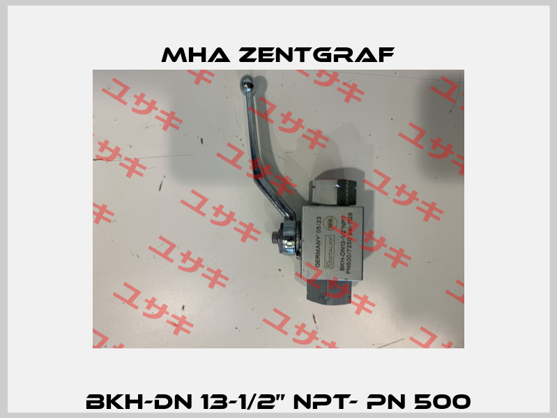 BKH-DN 13-1/2” NPT- PN 500 Mha Zentgraf
