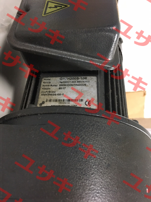 G13H200S-100 Sesame Motor