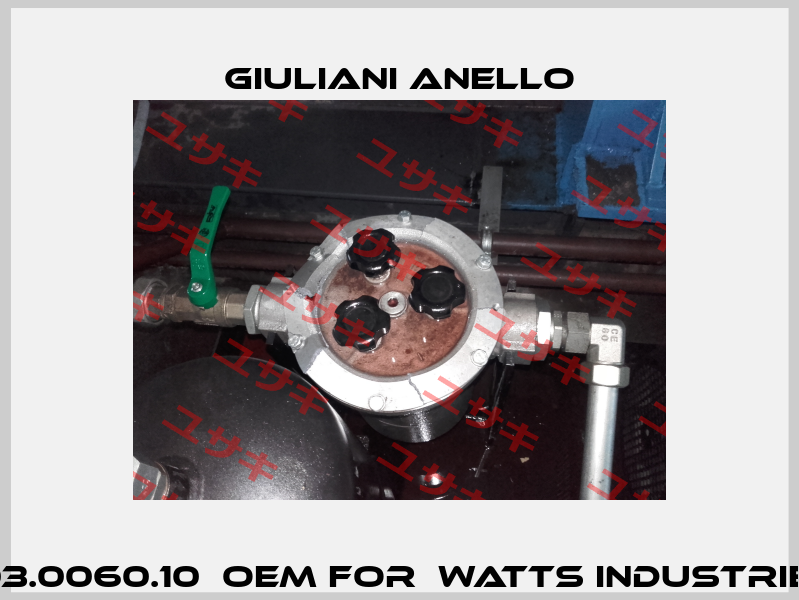 003.0060.10  OEM for  Watts Industries  Giuliani Anello