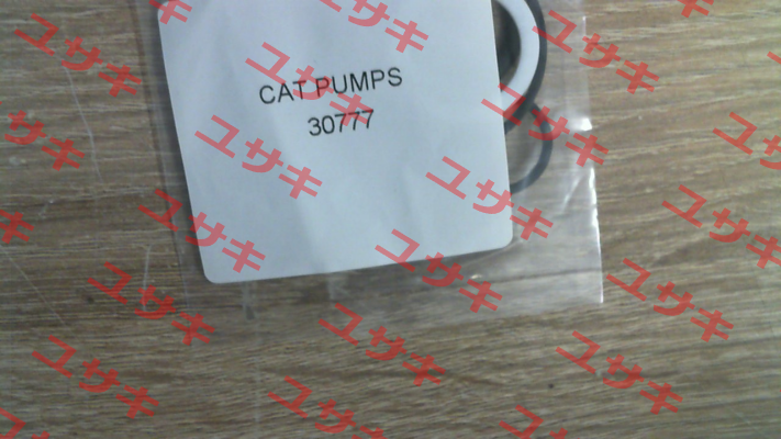 30777 Cat Pumps