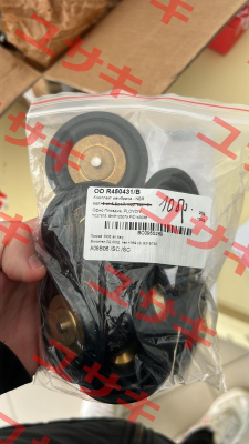 R450431/B Ode