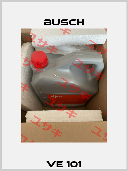 VE 101 Busch