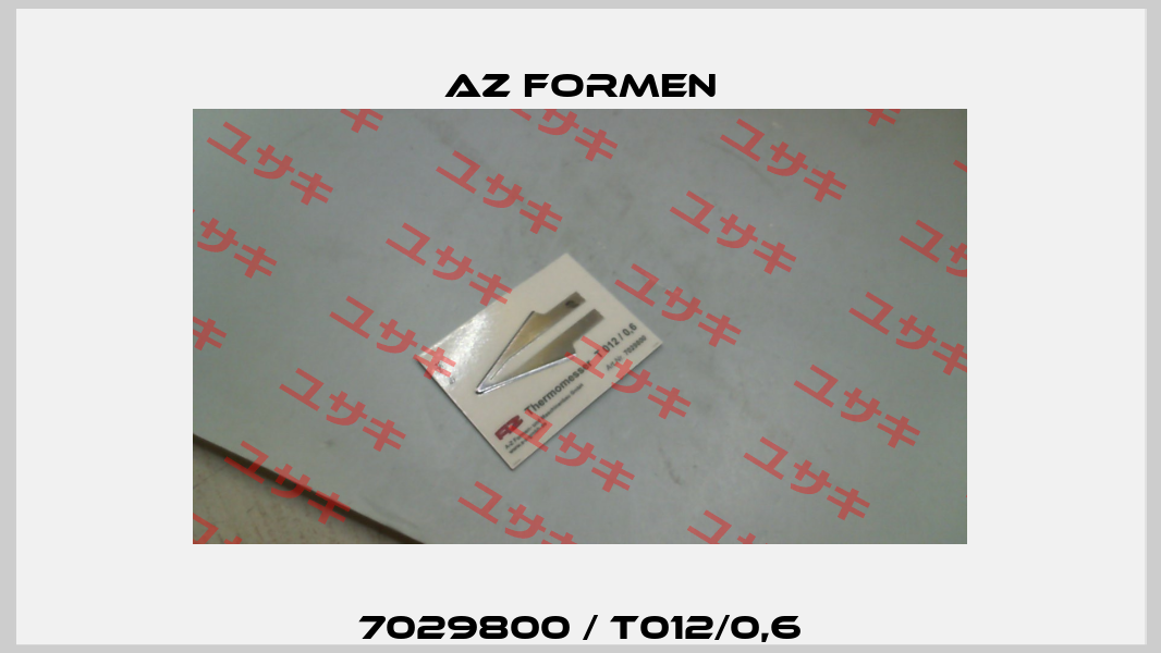 7029800 / T012/0,6 Az Formen