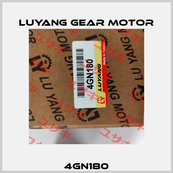 4GN180 Luyang Gear Motor