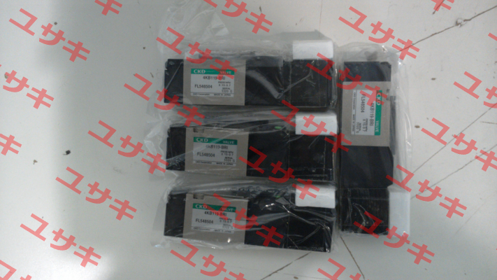 4KB119-00-BRI-FL548504-DC24V Ckd
