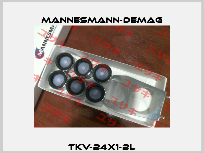 TKV-24X1-2L Mannesmann-Demag