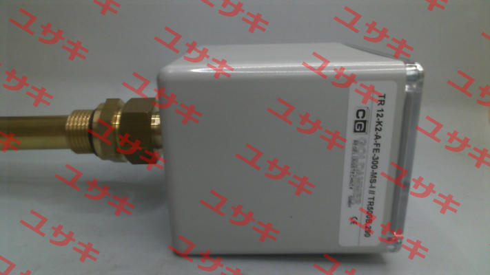 TR 12-K2-A-FE-300-MS-I Goldammer