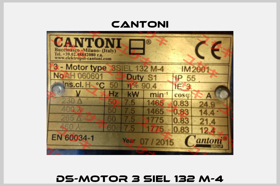 DS-Motor 3 SIEL 132 M-4 Cantoni