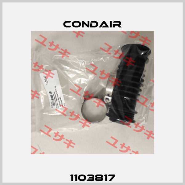 1103817 Condair