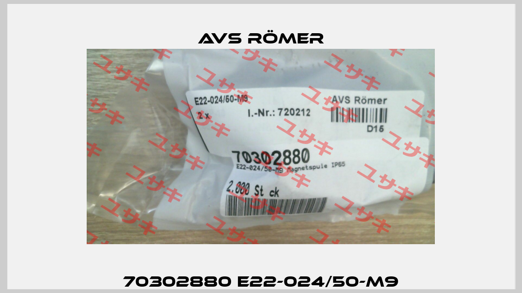 70302880 E22-024/50-M9 Avs Römer
