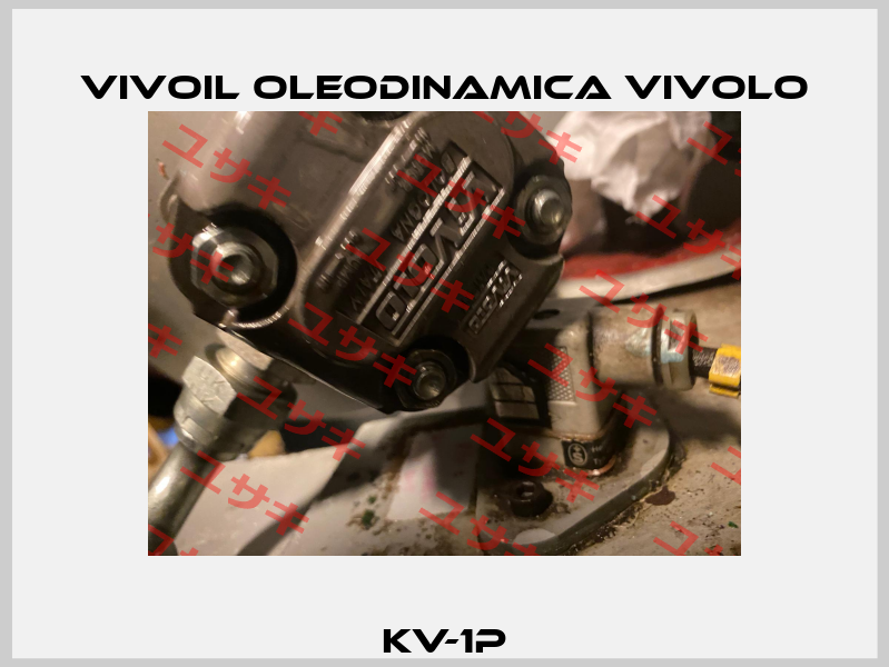 KV-1P Vivoil Oleodinamica Vivolo