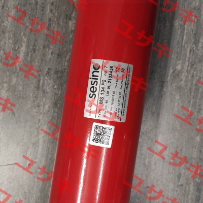 MS 134 P2 Sesino