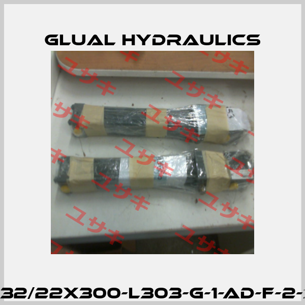 KI-32/22x300-L303-G-1-AD-F-2-30 Glual Hydraulics
