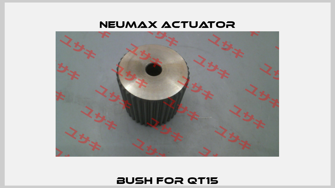 bush for QT15 Neumax Actuator