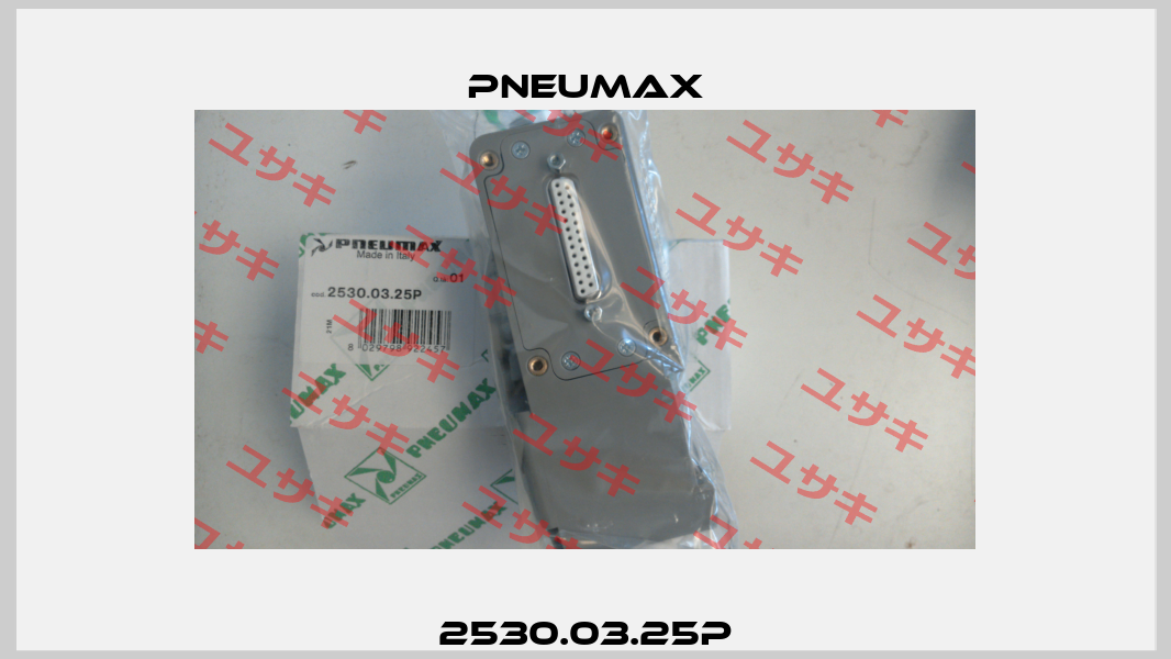 2530.03.25P Pneumax