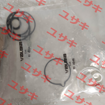 seal and wear part set for Model 63 Valbia